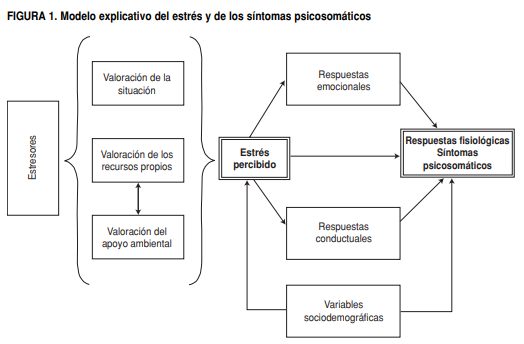 grafico